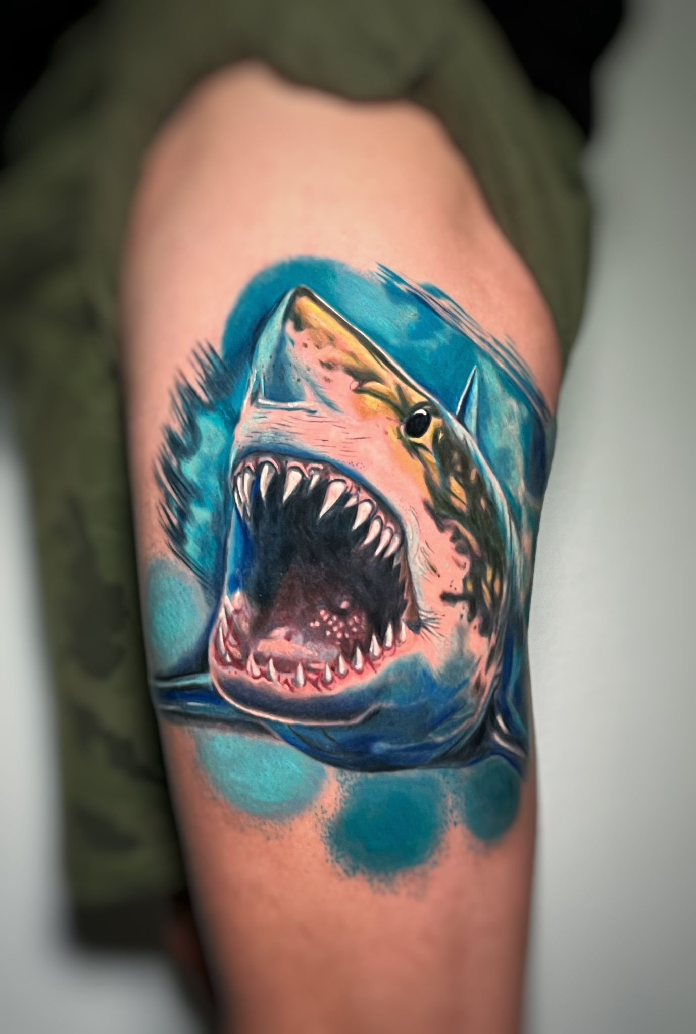 WhatsApp Image 2025-10-28 at 11.33.44 (1)