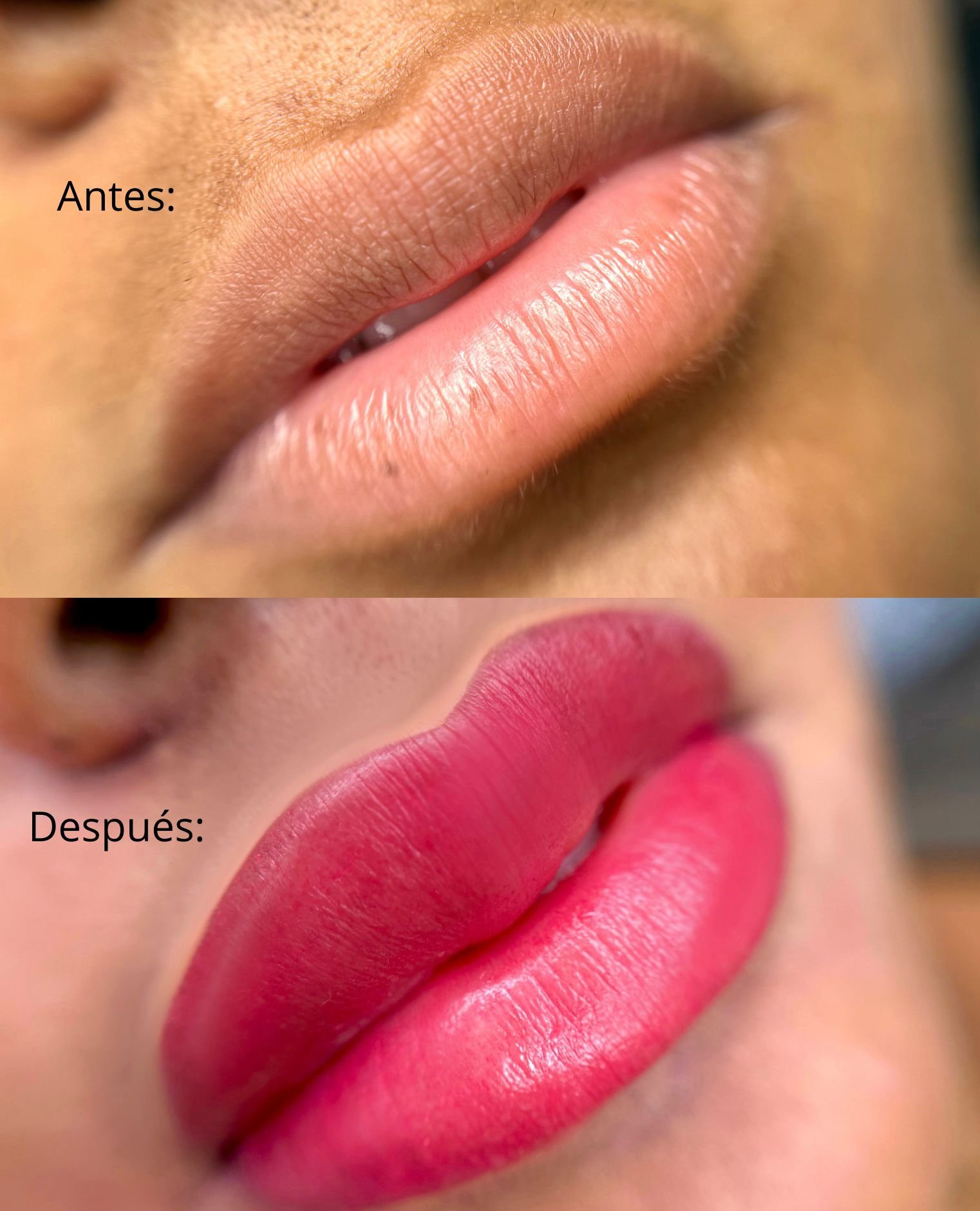 2291a8e4-8bda-46e7-9ac1-af9c4536b66f